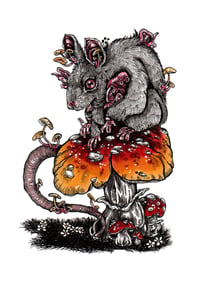 Image 6 of Fungi Vol. 8 Pre-Order