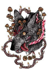 Image 7 of Fungi Vol. 8 Pre-Order