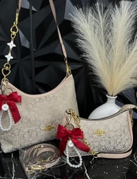 Beige with red bow coach set 