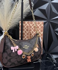 Brown coach with charms