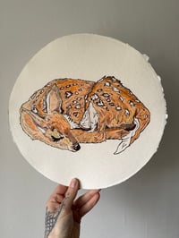 Fawn Original Drawing 