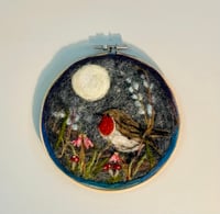 Night Bird