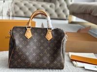Image 12 of LV Speedy B