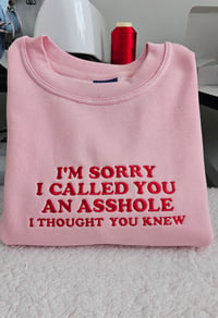 Image 2 of I'm sorry I called you an asshole hoodie