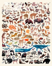 Rainbow of Animals