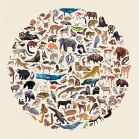 Animals of the World 10x10