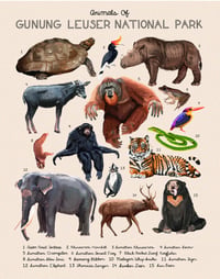 Animals of Sumatra's Gunung Leuser National Park 11x14