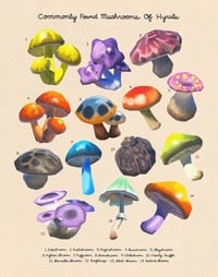 Commonly Found Mushrooms of Hyrule 11x14
