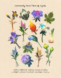 Commonly Found Flora of Hyrule 11x14
