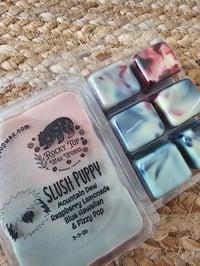 Image 2 of Slush Puppy - A Rockytop Wax Works exclusive custom houseblend fragrance 