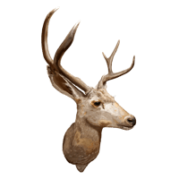 Image 1 of Mule Dear Sticker 3x5