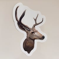 Image 2 of Mule Dear Sticker 3x5