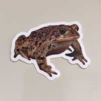 Image 2 of Toad sticker 3x2