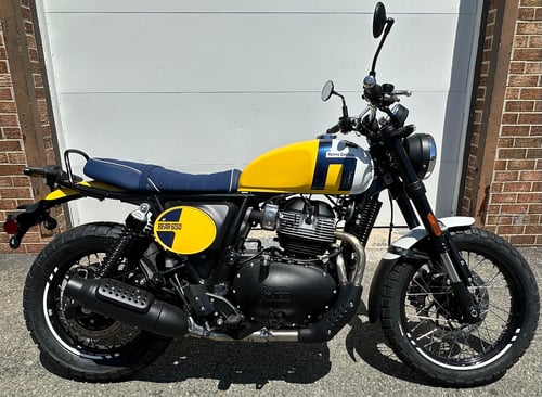 Image of $750 off! 2025 Bear 650 in Wild Honey