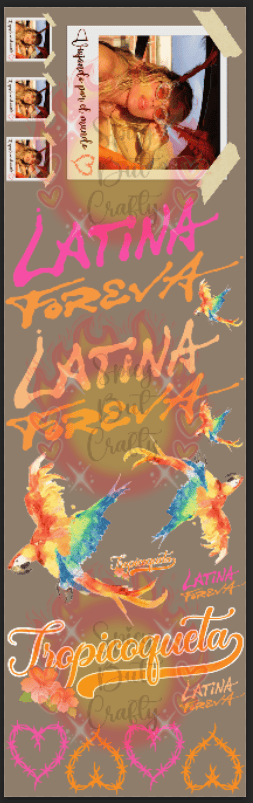 Image of 11"x36" Latina Karol G Gang Sheet