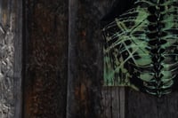 Image 12 of Save Me