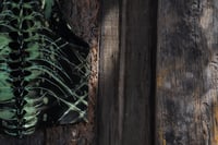 Image 14 of Save Me