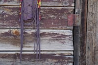Image 7 of BMTH Strapped
