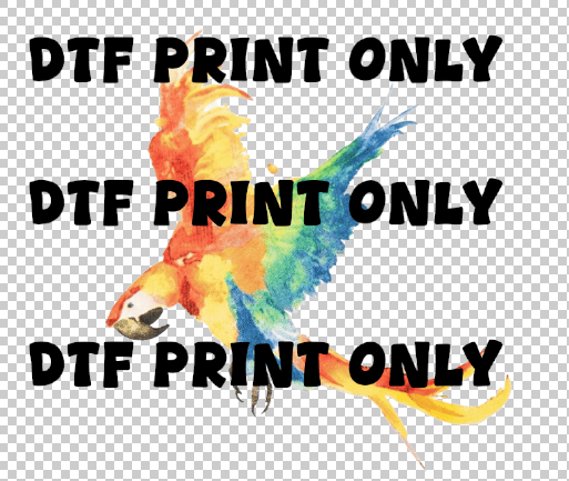 Image of Guacamaya  dtf print only