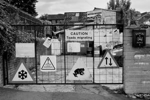 Image of Newport Zooport