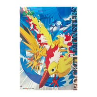 Pokemon Legendary Birds B2 Poster