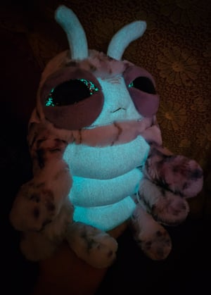 Caterpillar Hatchling! ♡☆Glows In The Dark!☆♡