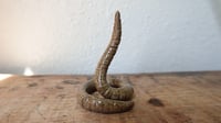 Image 1 of Small Worm Ring Holder #6