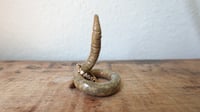 Image 1 of Small Worm Ring Holder #7