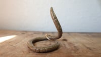 Image 1 of Small Worm Ring Holder #8