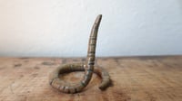 Image 1 of Small Worm Ring Holder #10