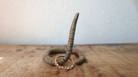 Image 2 of Small Worm Ring Holder #10