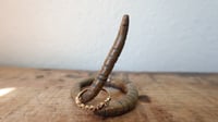Image 4 of Small Worm Ring Holder #10