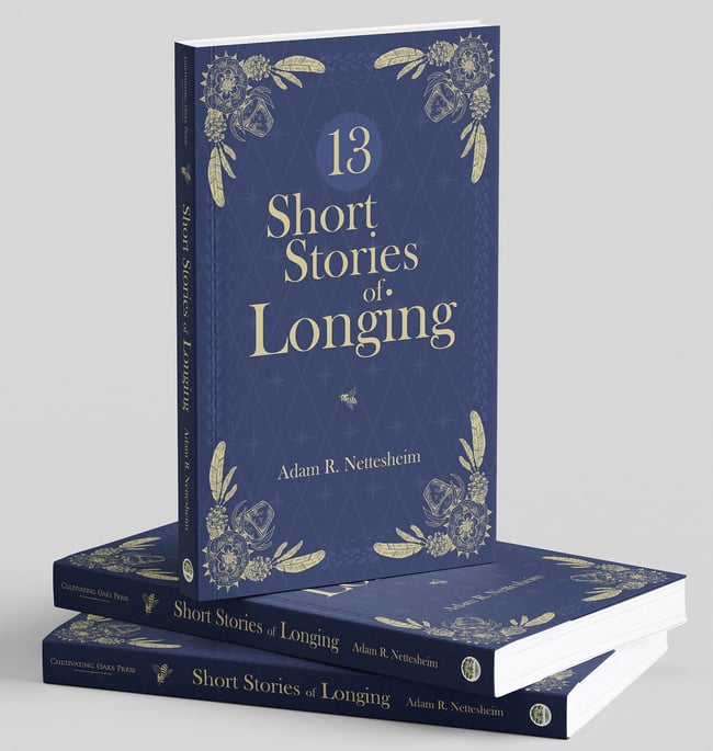 13 Short Stories of Longing 