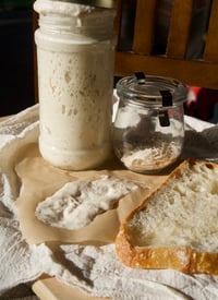 Bread Pitt - Masa Madre Deshidratada