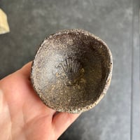 Image 3 of SHELL BED DISH