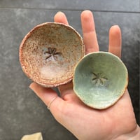 Image 3 of ROCK POOL DISH