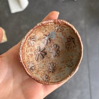 Image 4 of ROCK POOL DISH
