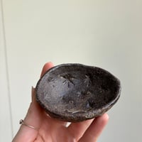 Image 5 of ROCK POOL DISH