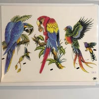 Image 1 of 1990’s production flash sheet parrots 