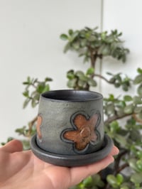 Image 1 of LITTLE FLORA CUP