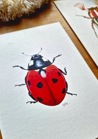 Image 4 of Set of 2 Entomology Prints, Red Ladybug and June Beetle Digital Download, Botanical Wall Art