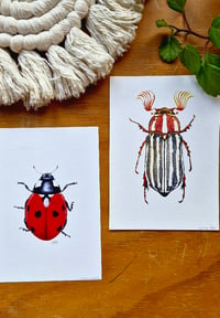Image 5 of Set of 2 Entomology Prints, Red Ladybug and June Beetle Digital Download, Botanical Wall Art