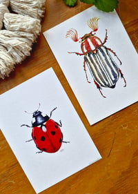 Image 3 of Set of 2 Entomology Prints, Red Ladybug and June Beetle Digital Download, Botanical Wall Art