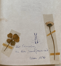 Image 2 of Blumenfibel by Elsa Felsko