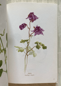 Image 5 of Blumenfibel by Elsa Felsko