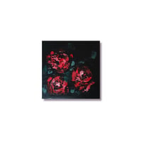 Red Roses