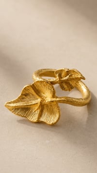 Image 3 of Anillo Rogueira