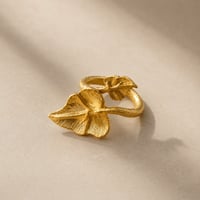 Image 1 of Anillo Rogueira