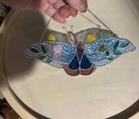 Image 1 of Moth