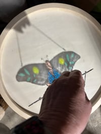 Image 2 of Moth